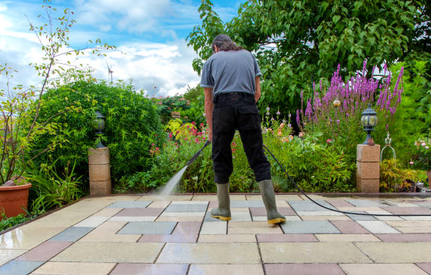 Best Driveway Pressure Washing  in Johnstonville, CA